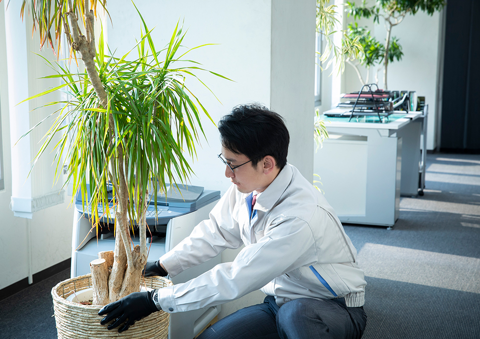 オフィスで植木鉢を移動させる男性